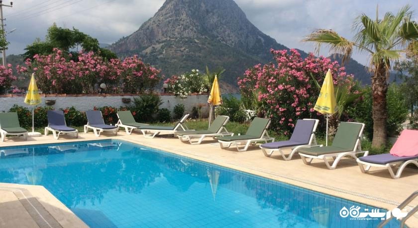 نمایی از استخر روباز هتل